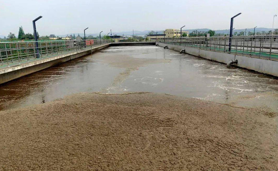 污泥脫水領域與浙江正達環(huán)保的探索之旅(圖1) undefined