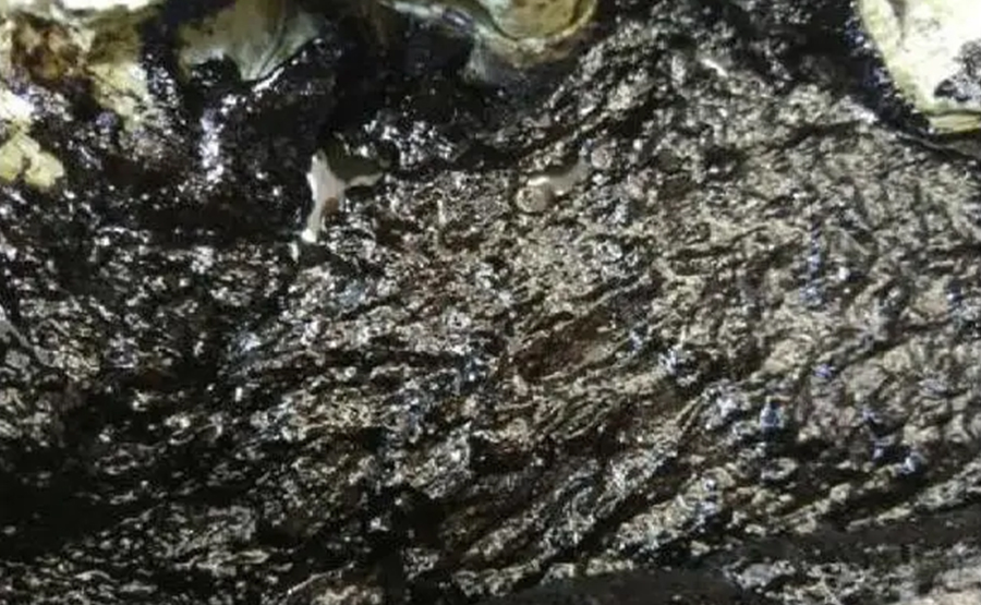 行星齒輪傳動對石化含油污泥處理效率有何突破性影響？