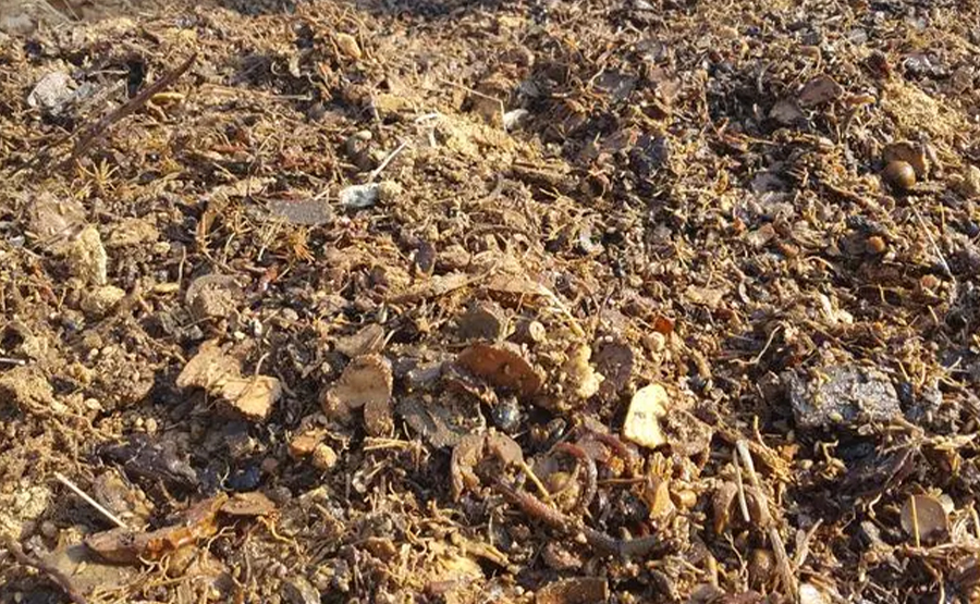 臥螺離心機(jī)廠家