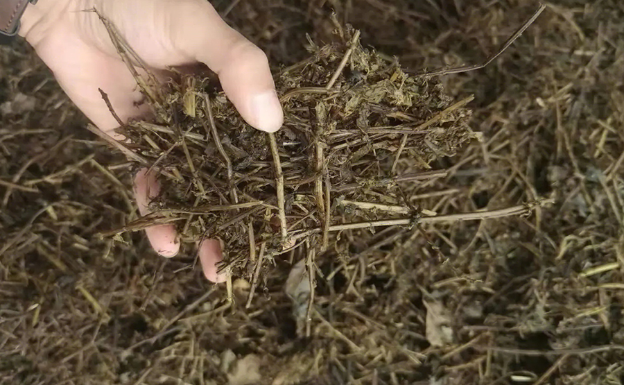 探秘正達(dá)環(huán)保中藥渣脫水機(jī):如何讓中藥渣華麗轉(zhuǎn)身(圖2) undefined